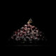 Illustration for article titled Still-life photos of rotting food are strangely beautiful